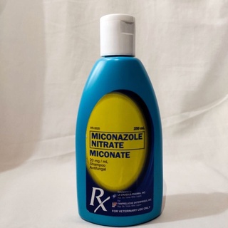 ❀☌◐Miconate Shampoo Anti-Fungal Shampoo 250Ml