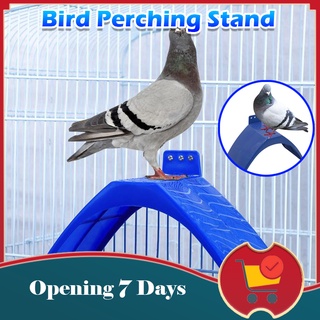Pigeon V Roost Perches Frame Dove Rest Stand Birds Frame Dwelling Perch Frame Roost Perches