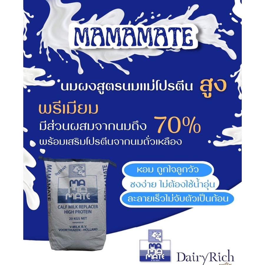mamamate Milk Powder Animal Feed Cow Calf-Raising Cockroach Cultivated Imported Holland Premium Grade Divided For Sale. #7