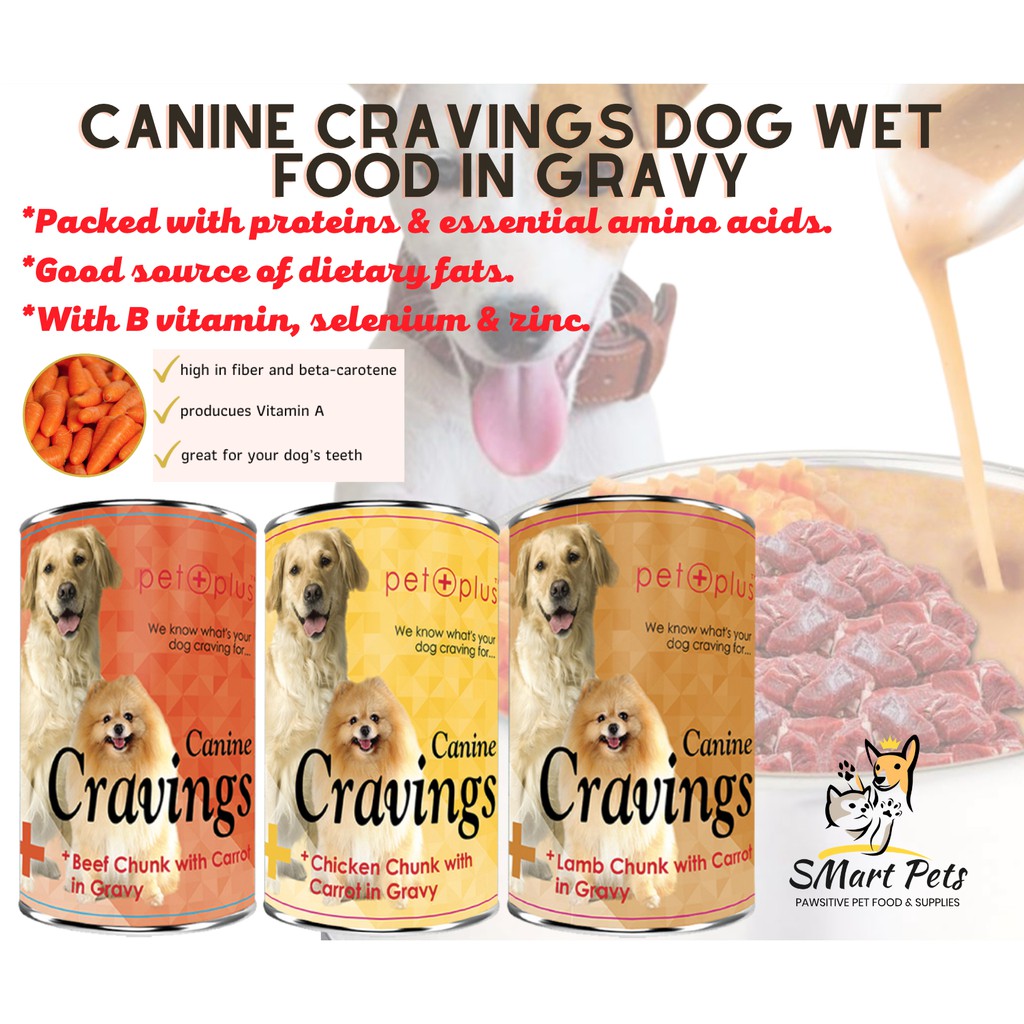 Is Wet Food Bad For Dogs Teeth