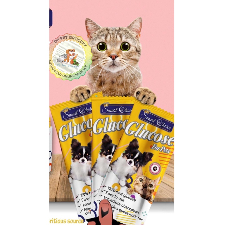 Smart Choice Glucose For Pets 25g X 1 pack SCG Shopee Philippines