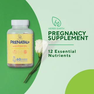 PreNatal+ Vitamin 60 Gummies Pregnancy Vitamins for Women from Herbs of the Earth USA Made