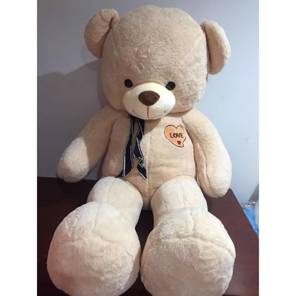 korean teddy bear