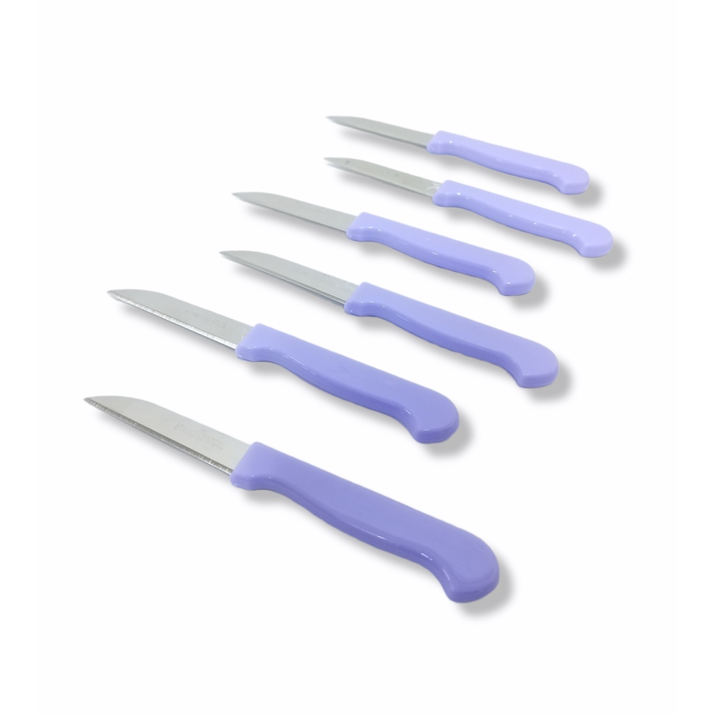 6pcs Set Fruit Knife Cooking Knives Stainless Steel Kutsilyo ( 3617
