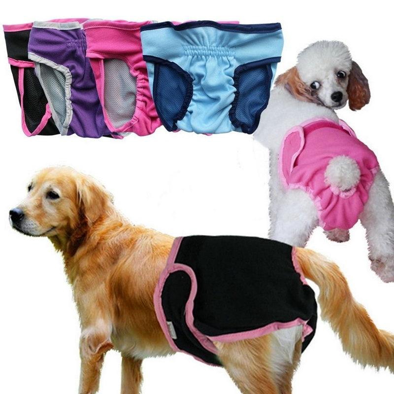 dog panties