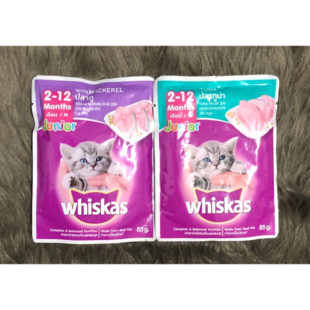 wet food whiskas junior