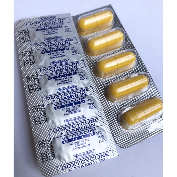 Vetracin Gold Capsule (1Tab) Shopee Philippines