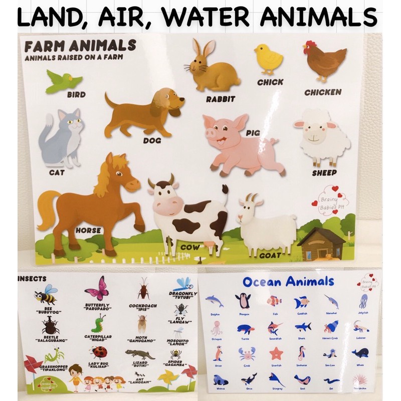 Land Air Water Animals A4 Laminated Educational Chart For Kids | Shopee  Philippines