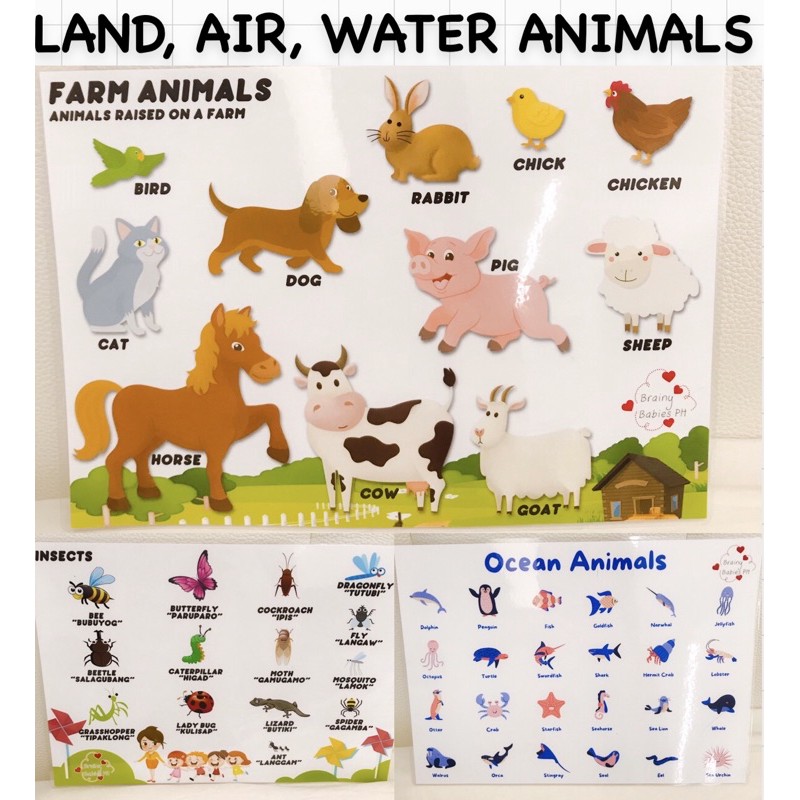 Water Animals Chart