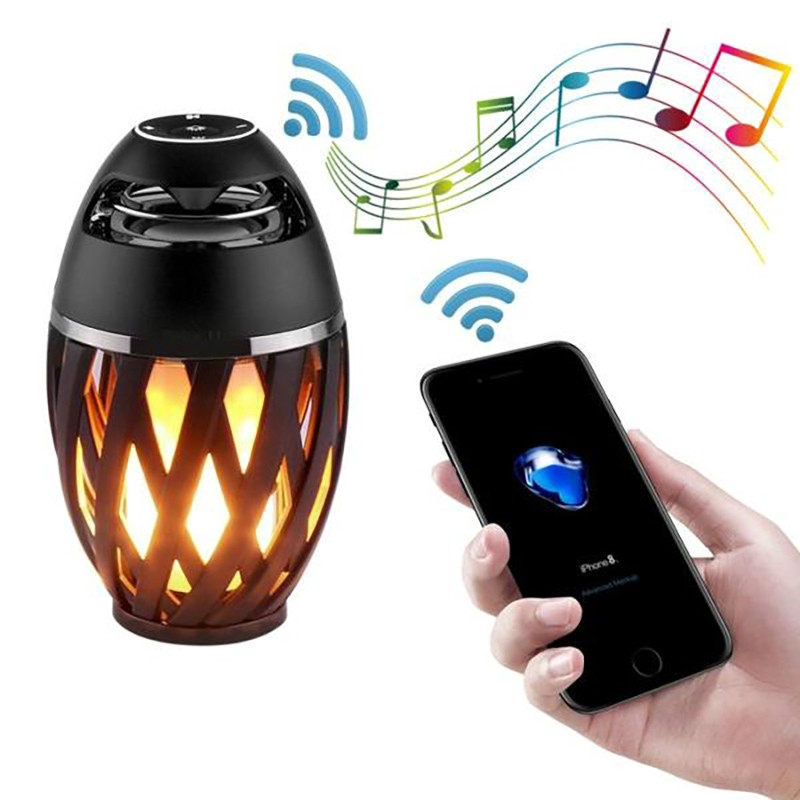 outdoor light and speaker