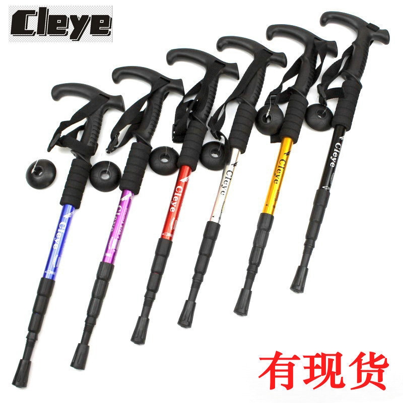 shock absorbing trekking pole