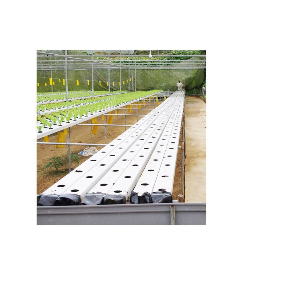 Hydroponic Pipe 5/7 Holes 1pcs / Fertigasi Hidroponik / Aquaponics