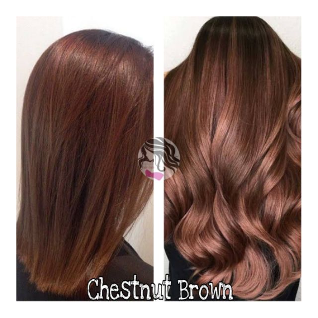 Chestnut Brown Hair Color | Shopee Philippines