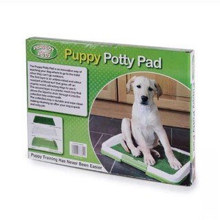 Indoor Grass Patch Puppy Potty Pet Dog Pee Training Mat Pad