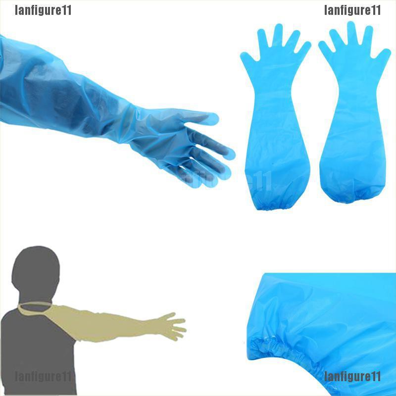 veterinary gloves