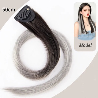 YOUJ Gradient Highlights Straight Hair Extensions Color Wig Long Hair Side  Bangs | Shopee Philippines