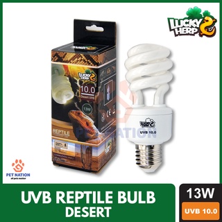 Lucky Herp Reptile UVB Compact Fluorescent Lamp 13W UVB 10.0 CFL UVB Lamp Bulb UVB Tortoise