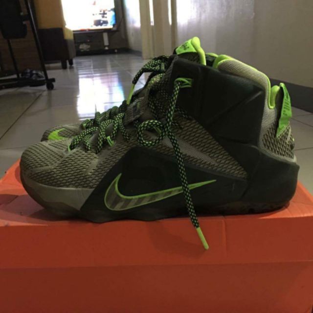lebron 12 dunk force
