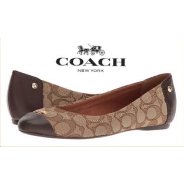 coach chelsea flat shoes