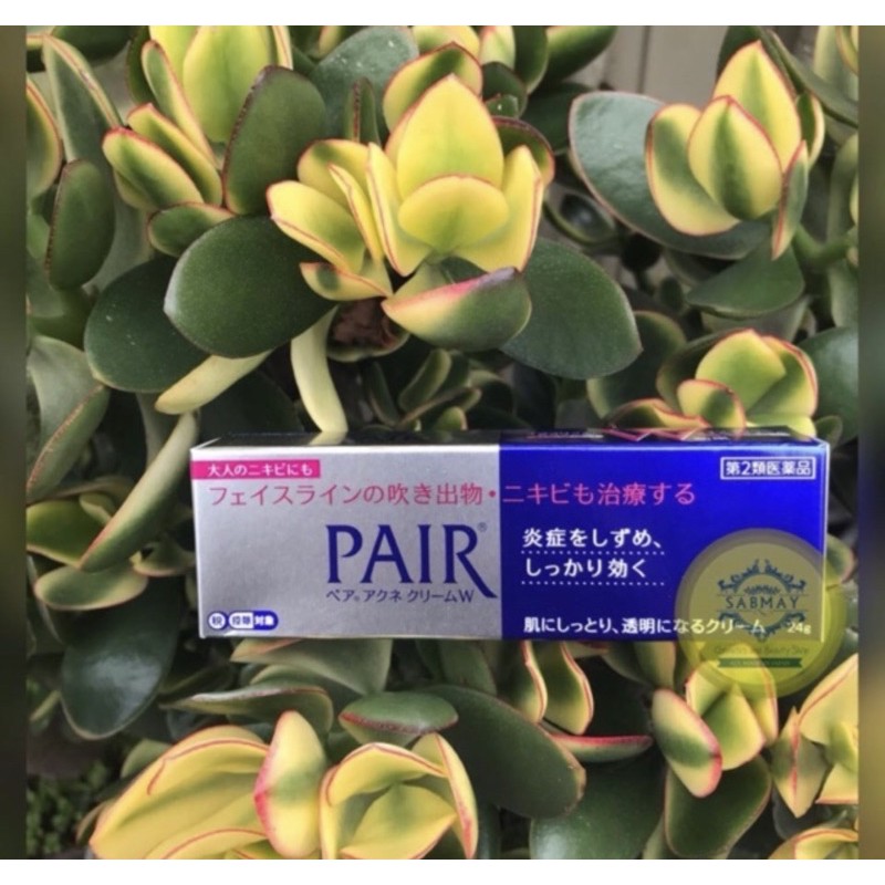 lion pair medicated acne care cream