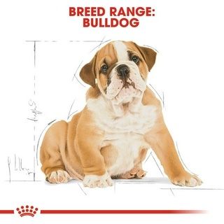 Royal Canin Bulldog Puppy Dry Dog Food (3kg) - Breed Health Nutrition #6