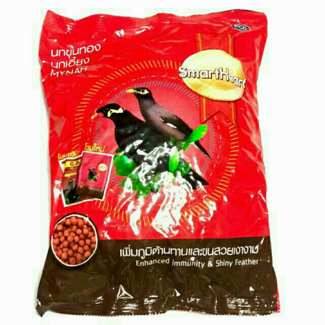 bird food shop near me