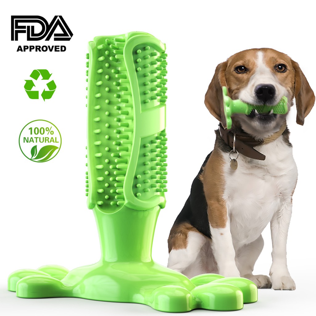 dog toothbrush dental stick