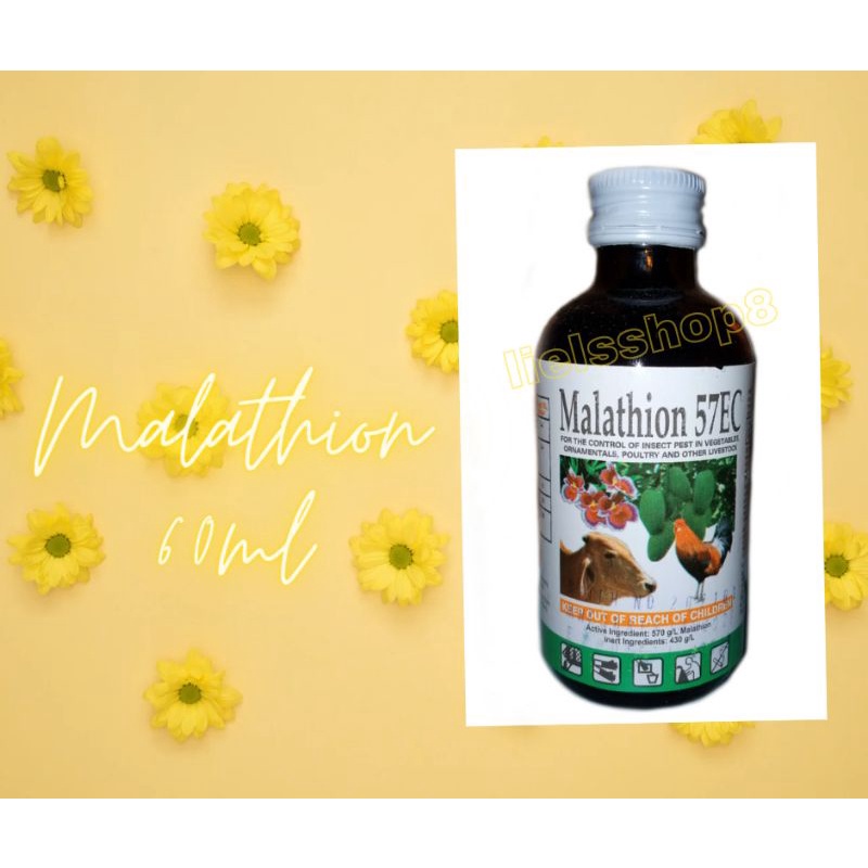 Liel's Malathion 57EC Pesticide 60ml Shopee Philippines