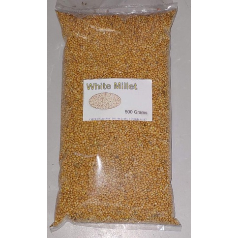 White Millet Bird Seed 500 grams for birds | Shopee Philippines