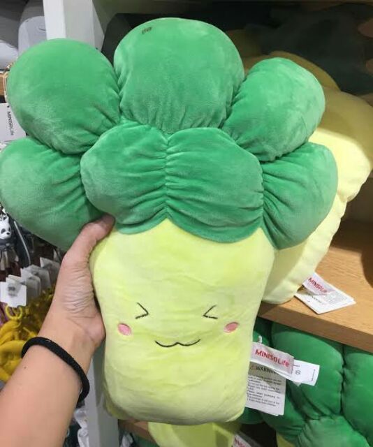 miniso watermelon plush