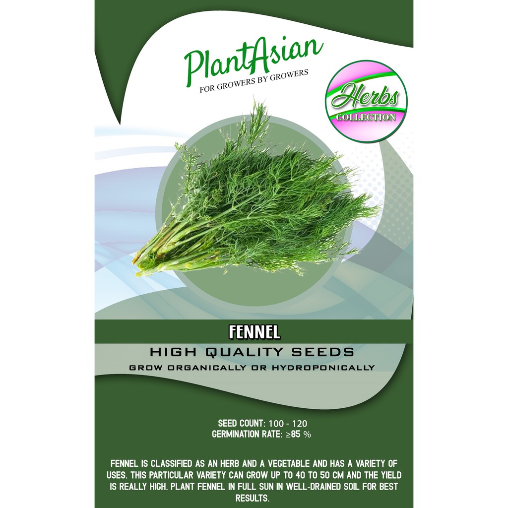 FENNEL HIGH QUALITY SEEDS Shopee Philippines