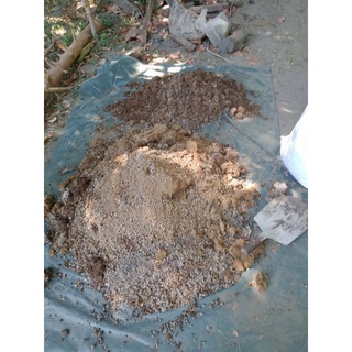 rabbit poop's (organic fertilizer) #6