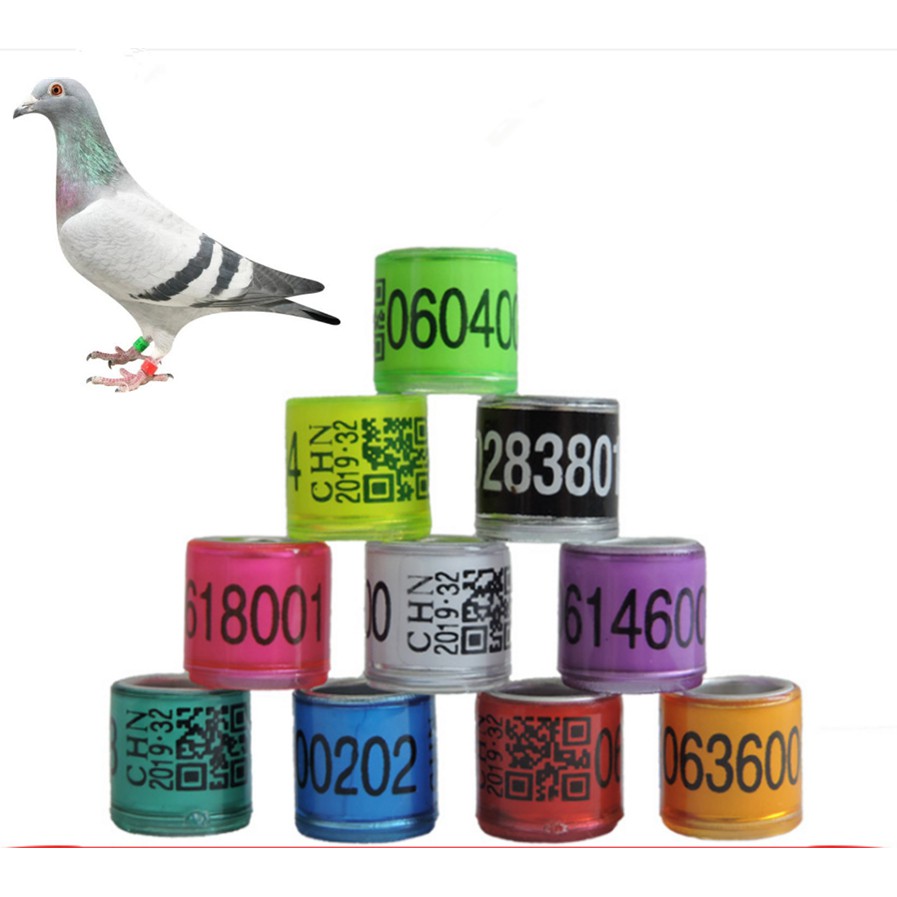 2019 20PCS foreign pigeon leg rings identify dove bands plastic aluminium ringXS 