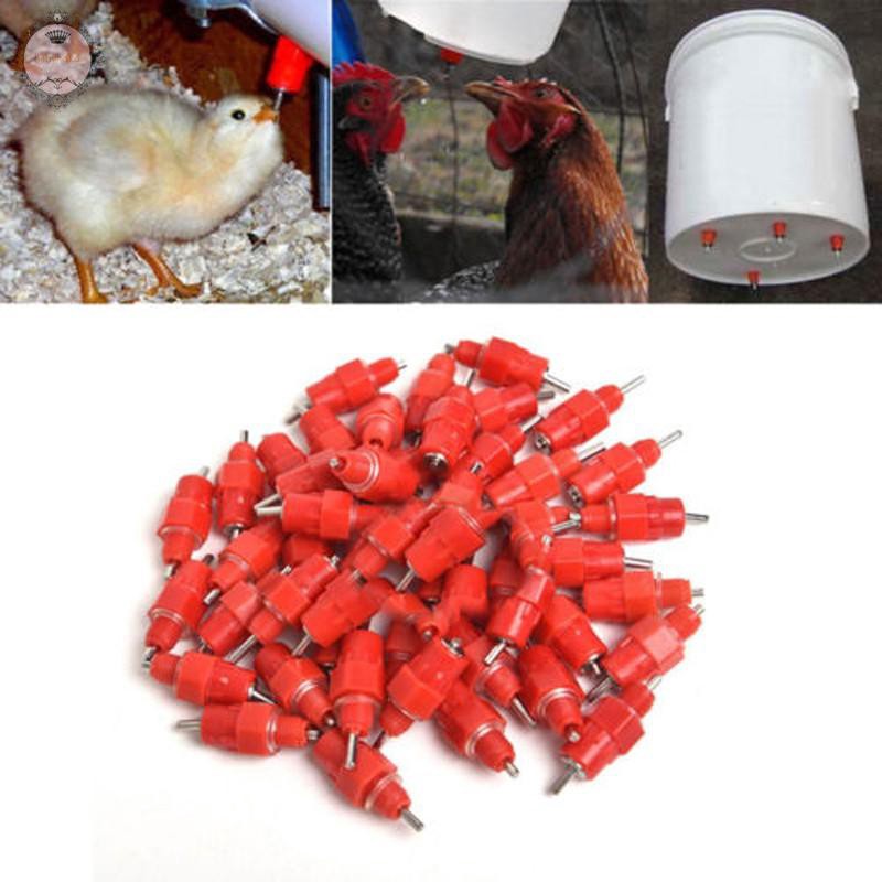 Chicken Feeder Water Nipple Drinker Duck Hen Poultry Screw