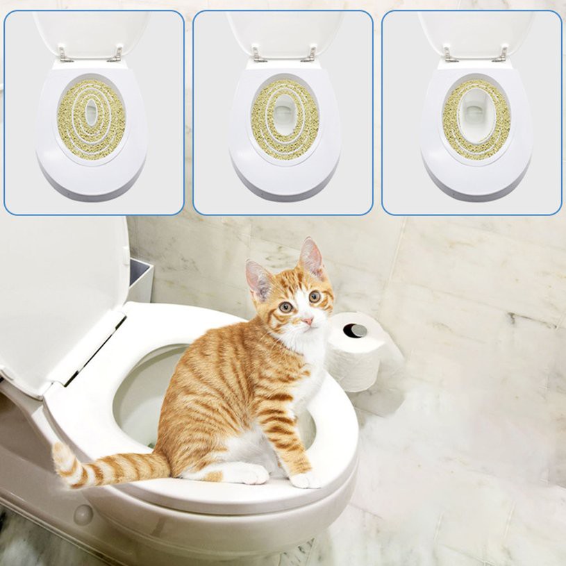 potty training kitty
