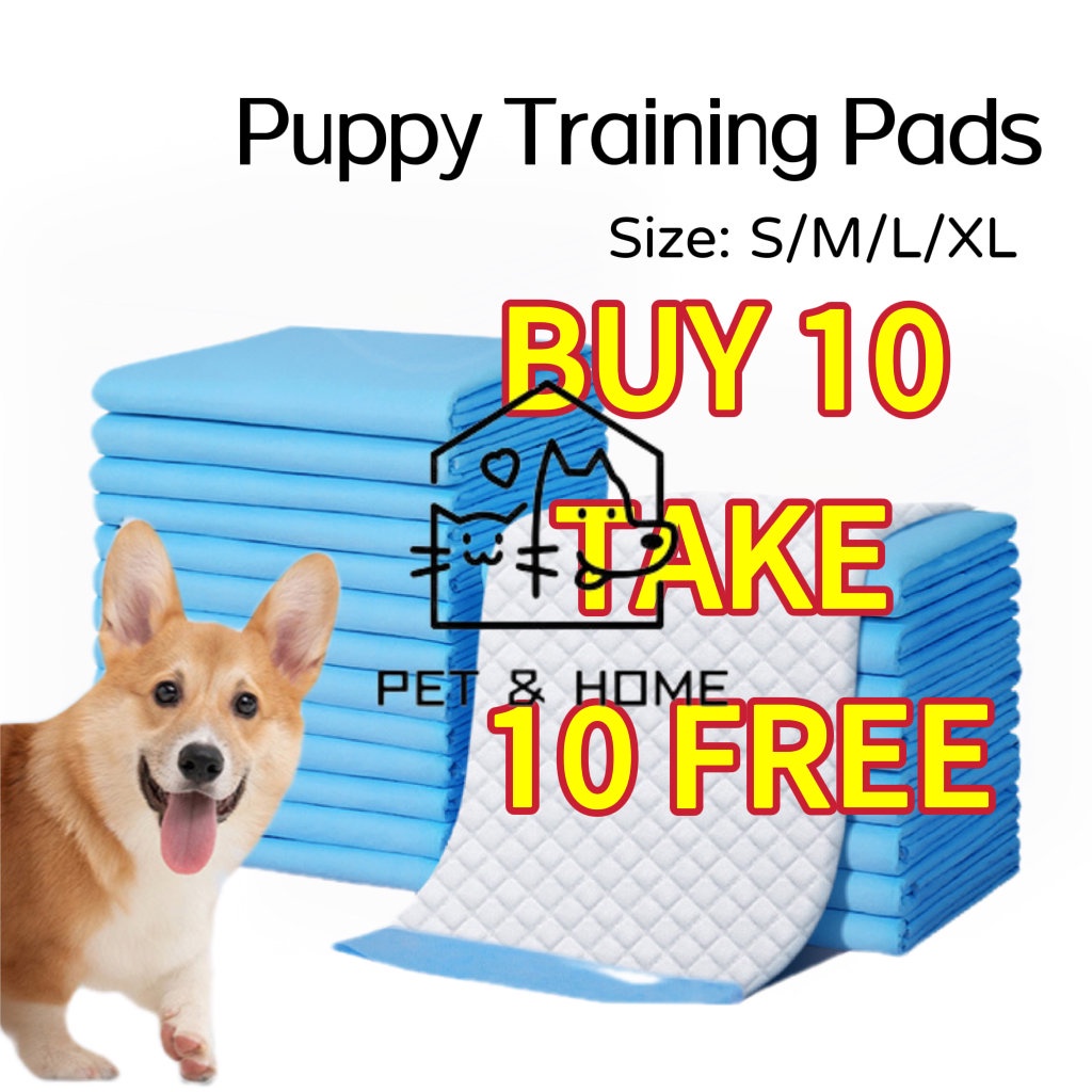 【BUY 10 TAKE 10】Pad Dog Pee Training Pad Cat Pee Pad Pet Wee Pee Poop