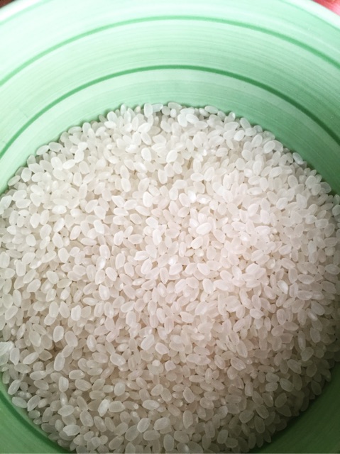 Japanese Rice Japonica 1 Kilo Shopee Philippines