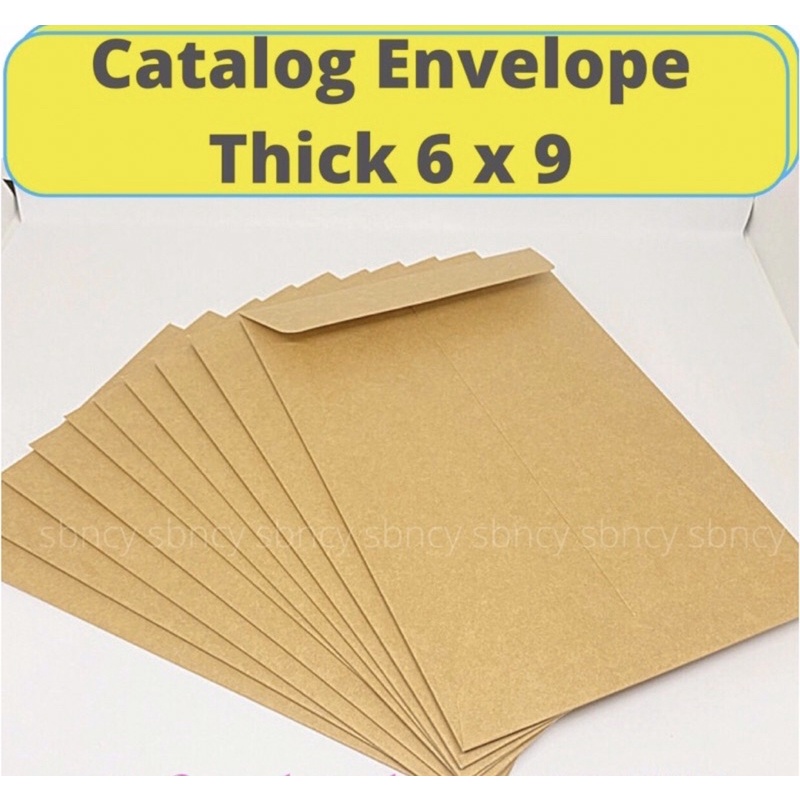 Catalog Envelope Thick 6X9