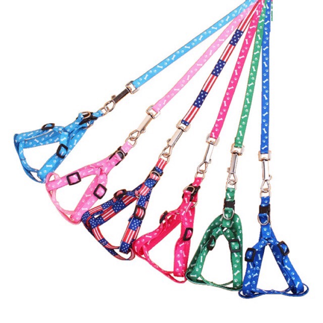 Pet Dog Leash Harness Shopee Philippines