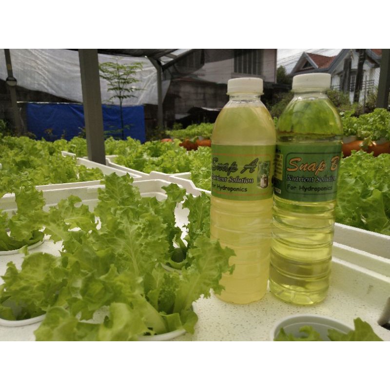 Hydroponics Store Philippines is rated the best in 03/2022 BeeCost