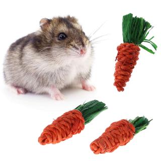 3Pcs Carrot Shaped Rabbit Hamster Chew Bite Toys Guinea Pigs Tooth Cleaning Toys
