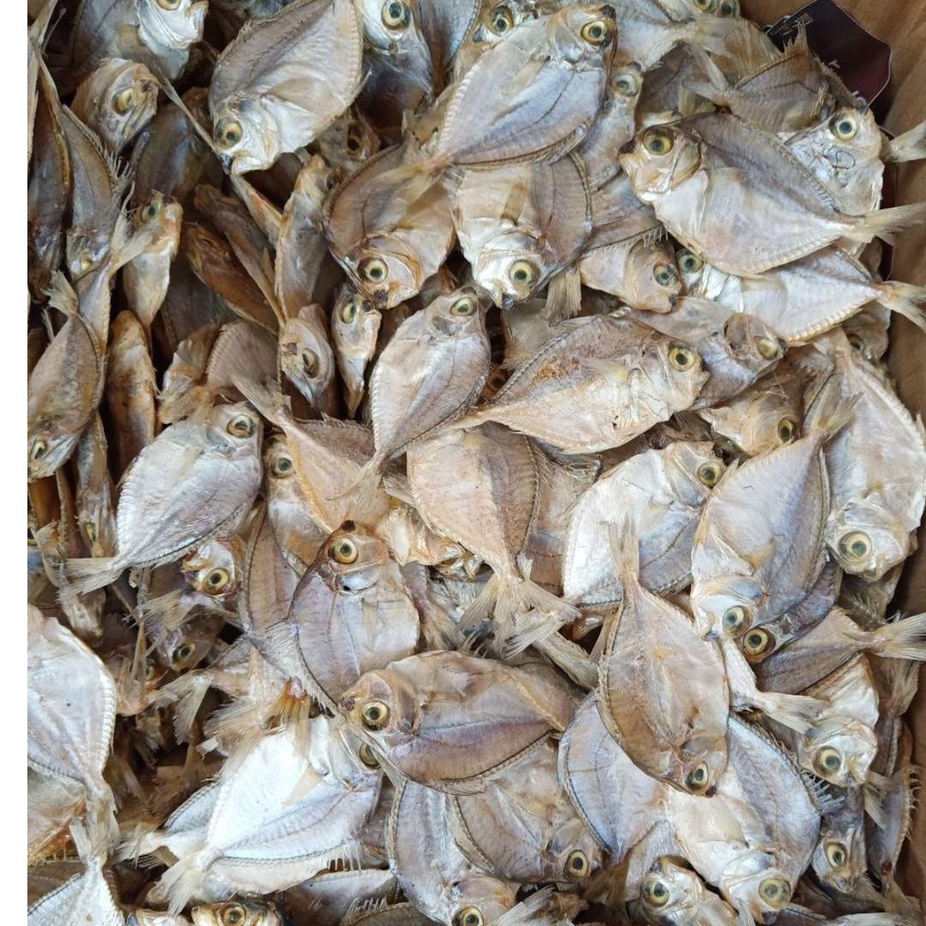 Dried Slipmouth Fish (Sap-Sap) Pinoy Bayanihan Food- 250 grams ewll #4