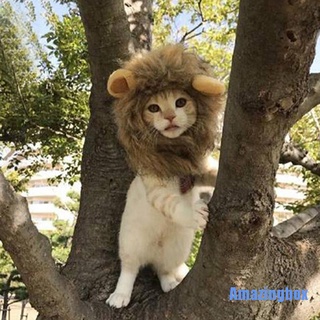 [Amazingbox] Pet dog hat costume lion mane wig for cat halloween dress up with ears
