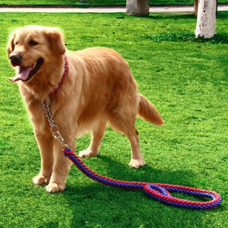 Pet Dog Thick Braided Collar Leash(S/M/L)