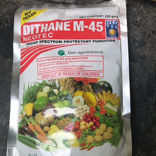 Dithane 250g fungicide for cactus and succulents | Shopee ...