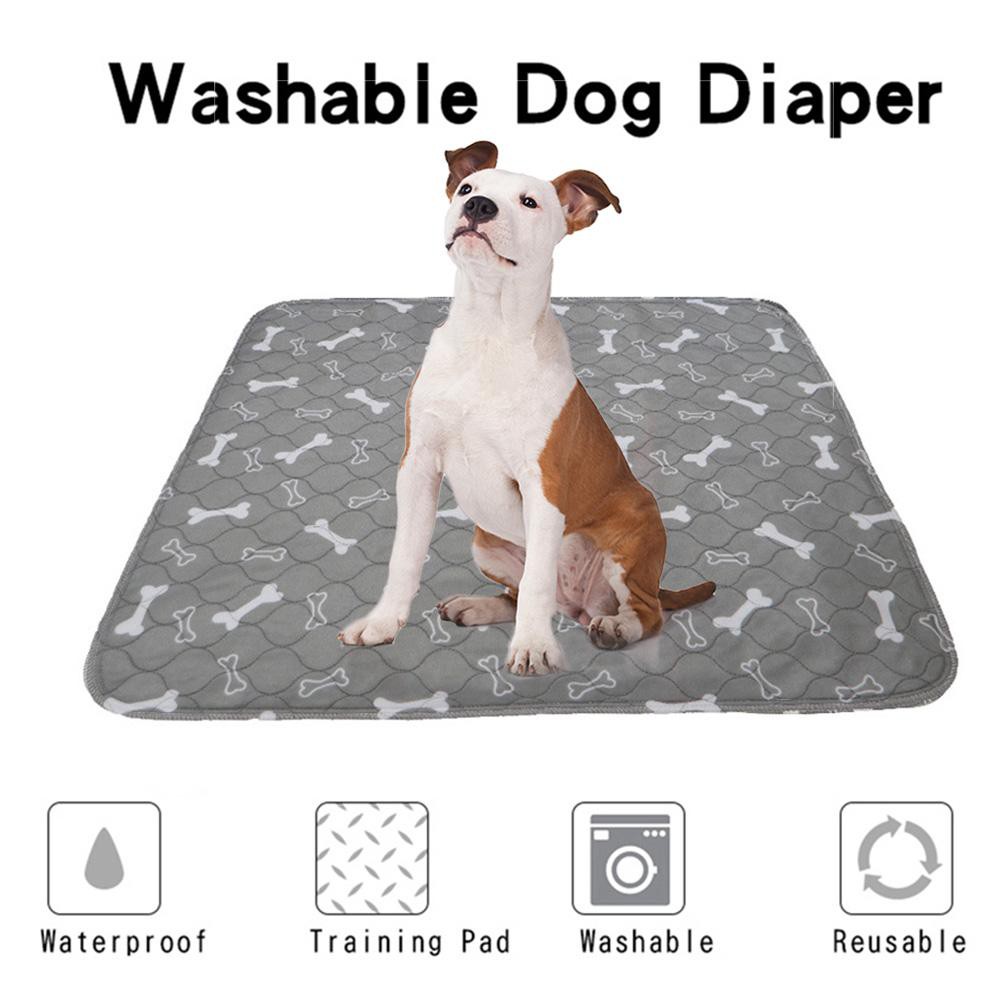 diapers for boxer dogs