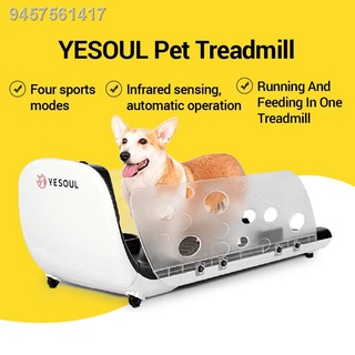 Xiaomi YESOUL Q1 Pet Dog Cat Kitten Puppy Indoor Treadmill w/ a Smart Feeder (dog and cat toys）（hot）