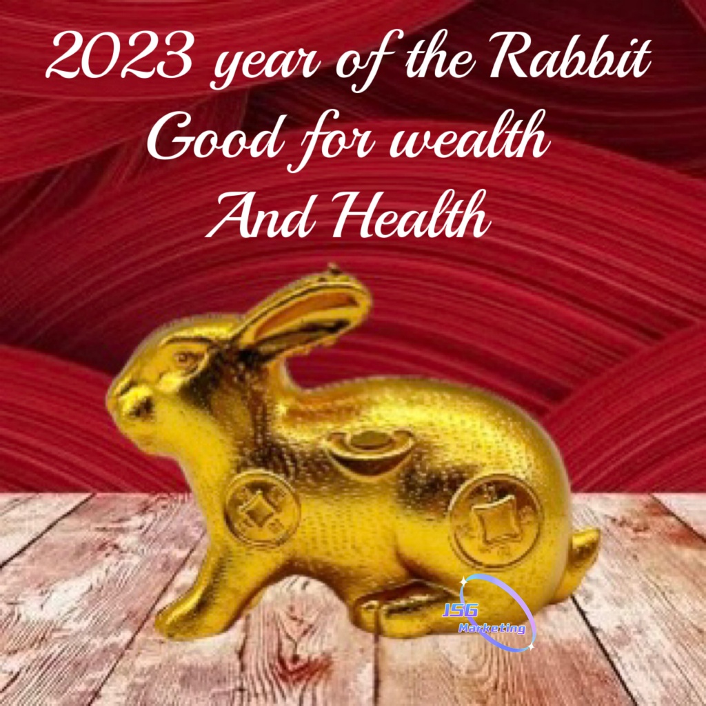 Feng Shui Lucky Charm Wealth Rabbit Year 2023 Water Rabbit Perfect for