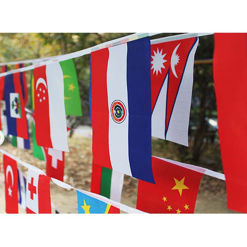 1 set Different Countries Flag & wk international World Banner 25M