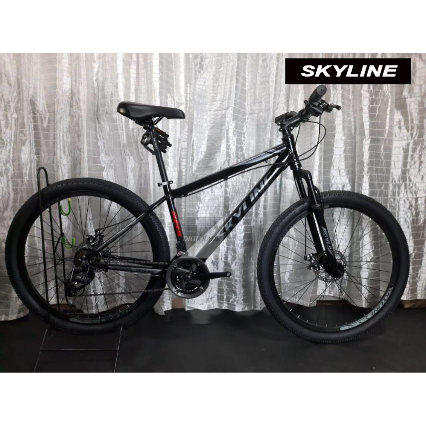 skyline bike brand